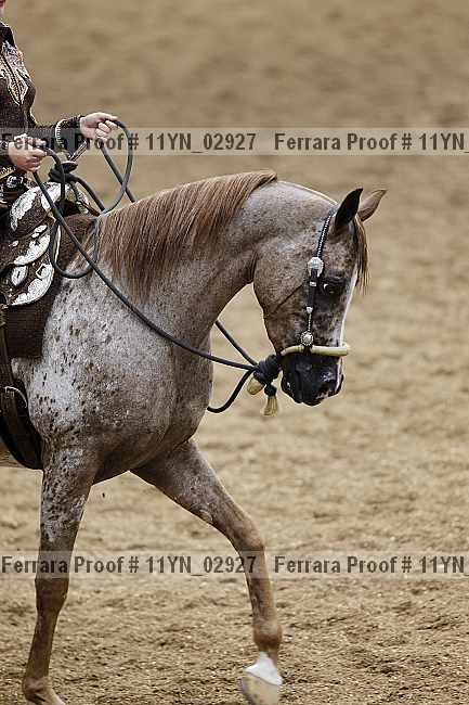 Proof 11yn_02927