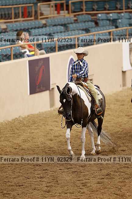Proof 11yn_02929