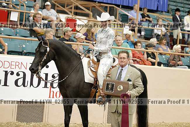 Proof 11yn_02955
