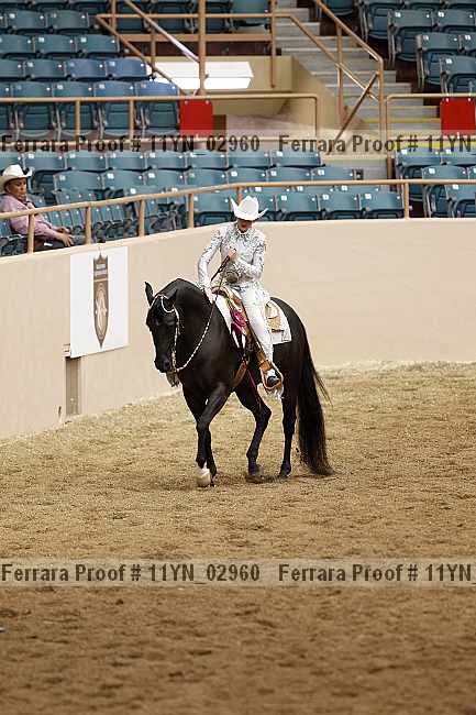 Proof 11yn_02960