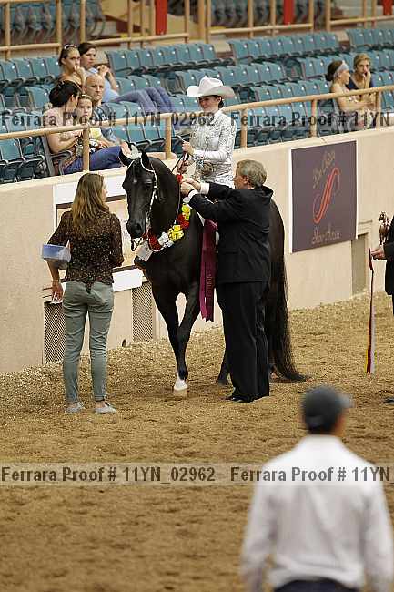 Proof 11yn_02962