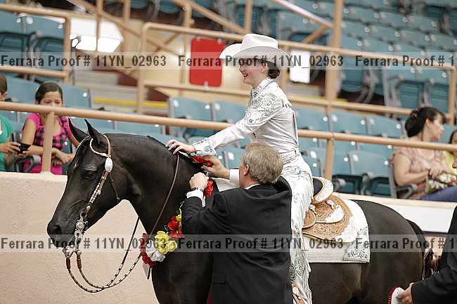 Proof 11yn_02963