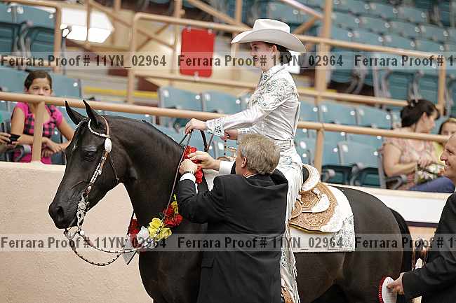 Proof 11yn_02964