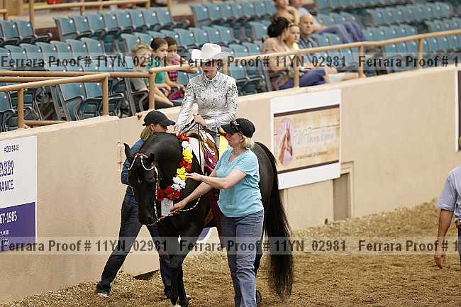Proof 11yn_02981