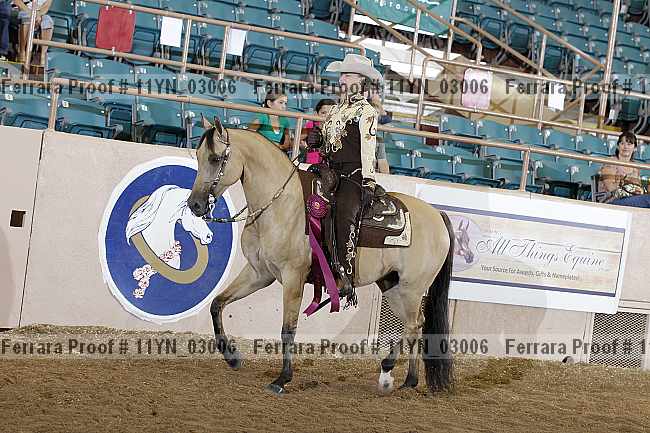 Proof 11yn_03006