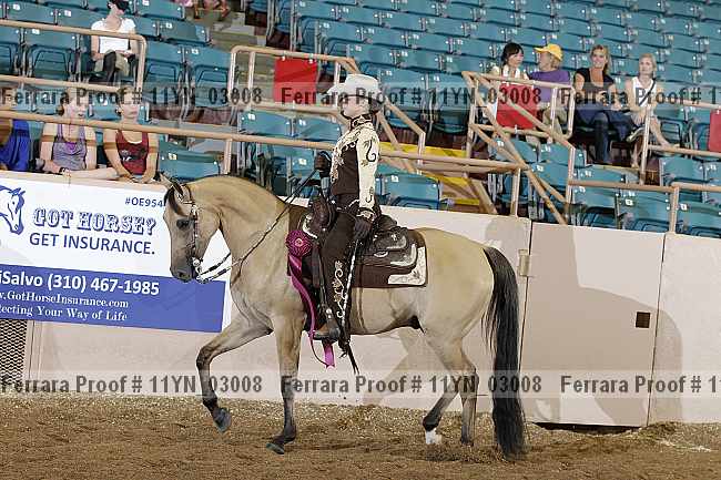 Proof 11yn_03008