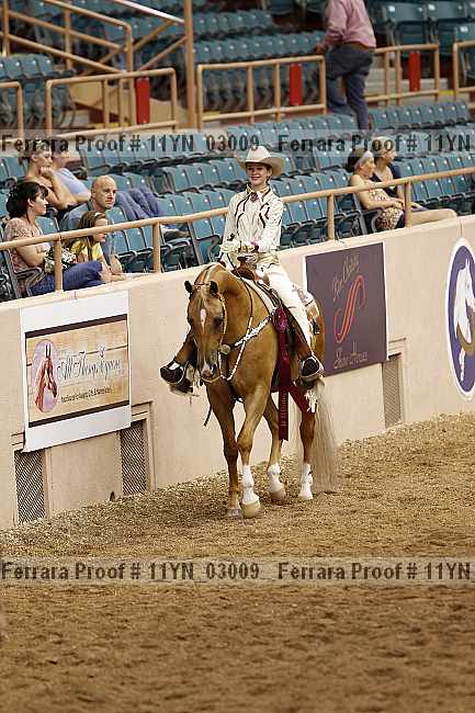 Proof 11yn_03009