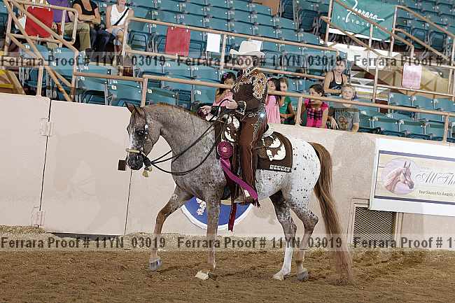 Proof 11yn_03019