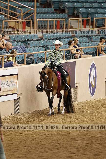 Proof 11yn_03026