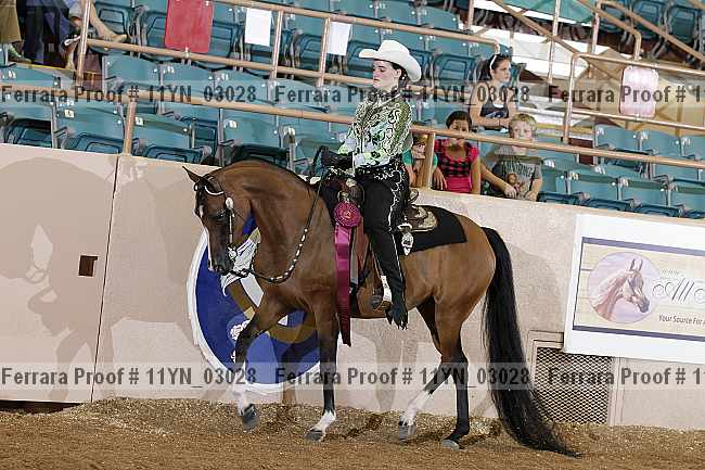 Proof 11yn_03028