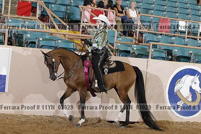 Proof 11yn_03029