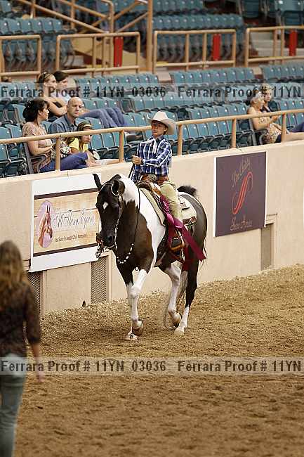 Proof 11yn_03036