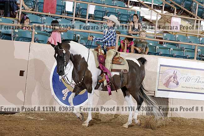 Proof 11yn_03038