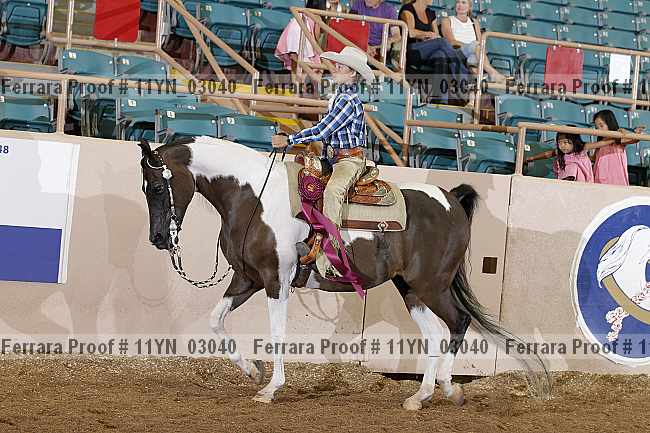 Proof 11yn_03040