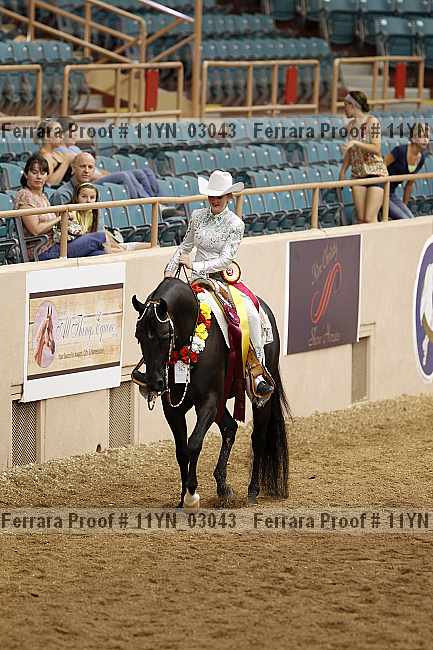 Proof 11yn_03043