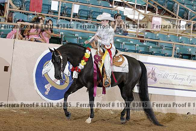 Proof 11yn_03045