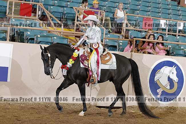 Proof 11yn_03046