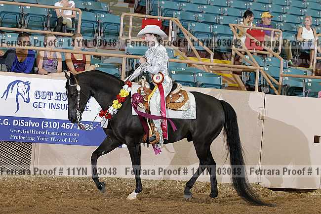 Proof 11yn_03048