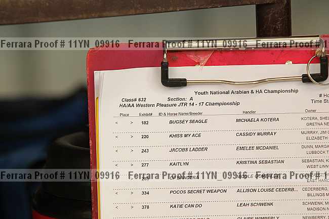 Proof 11yn_09916