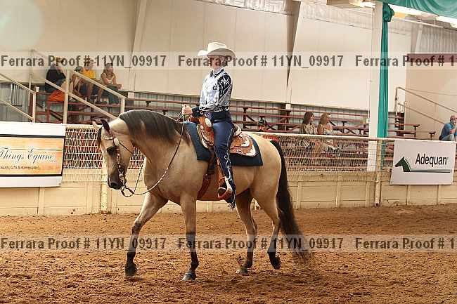 Proof 11yn_09917