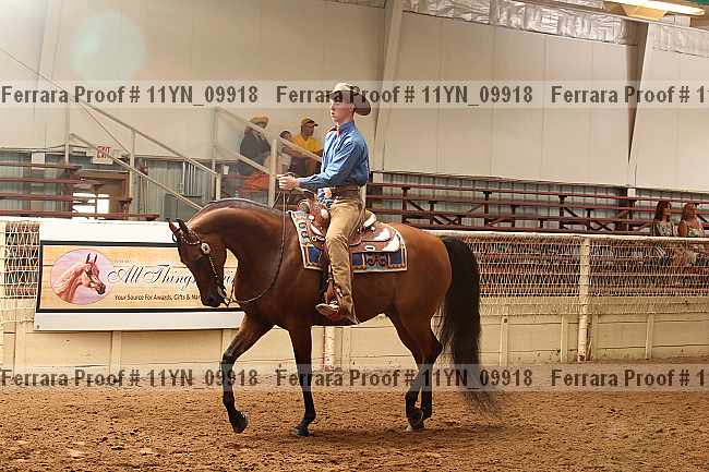 Proof 11yn_09918