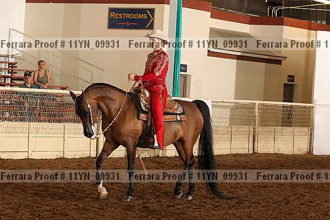 Proof 11yn_09931