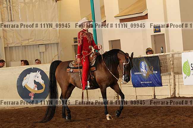 Proof 11yn_09945