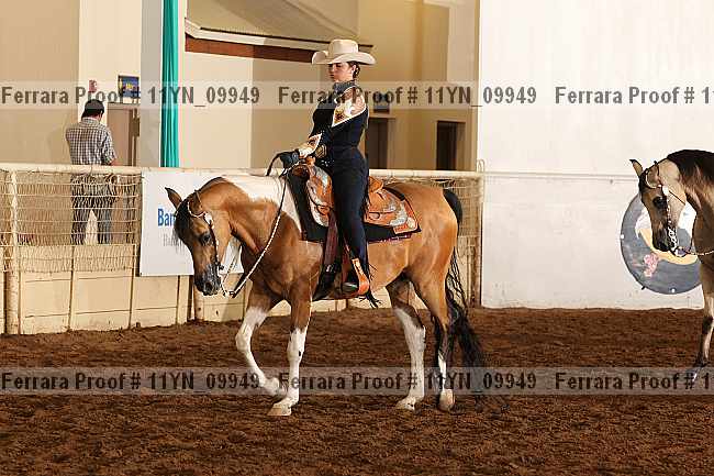 Proof 11yn_09949