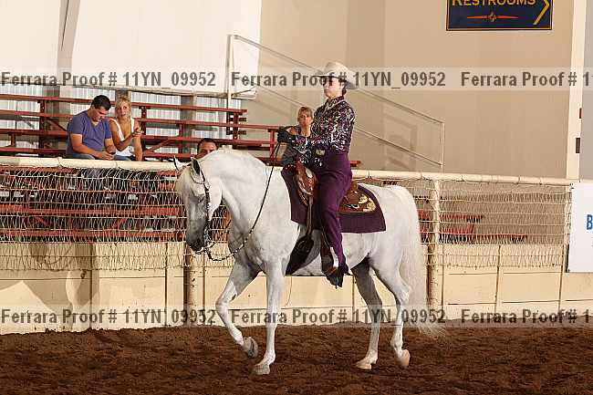 Proof 11yn_09952