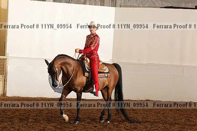 Proof 11yn_09954