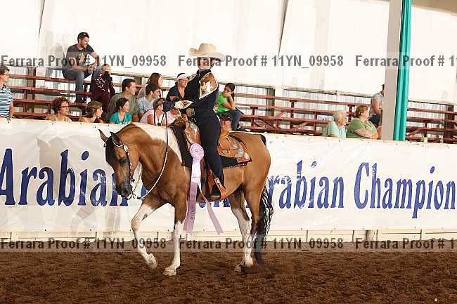 Proof 11yn_09958