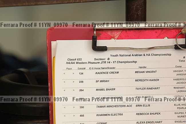 Proof 11yn_09970