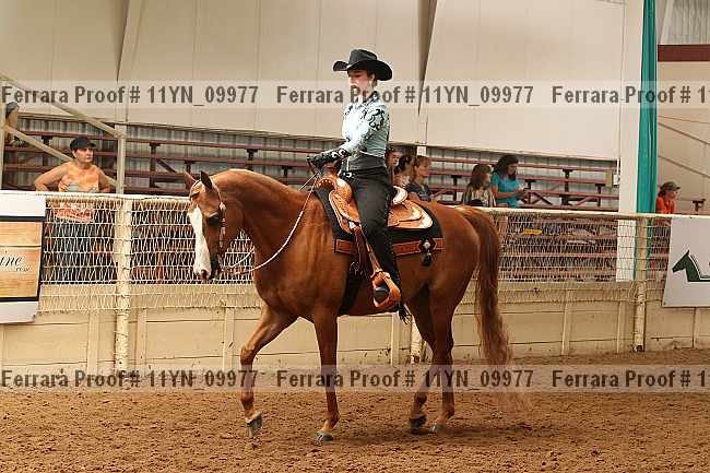 Proof 11yn_09977