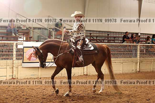 Proof 11yn_09978