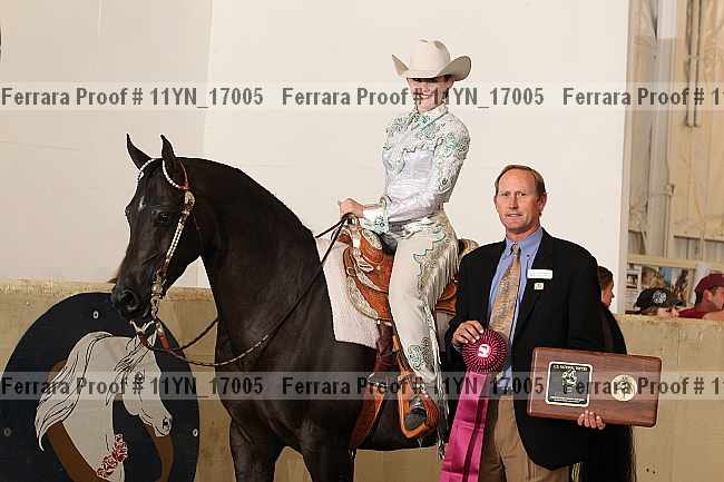 Proof 11yn_17005