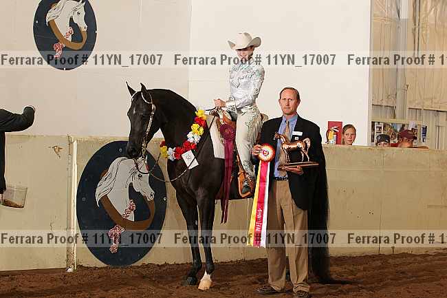 Proof 11yn_17007