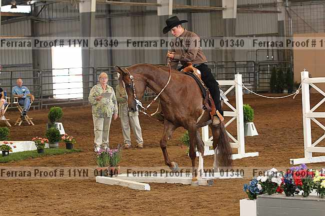 Proof 11yn_01340