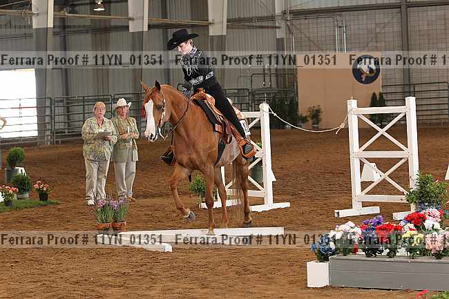 Proof 11yn_01351