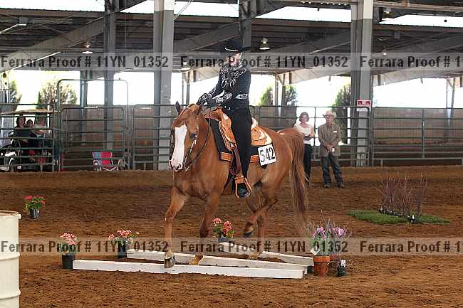 Proof 11yn_01352