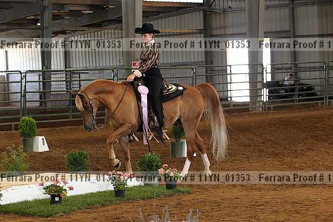 Proof 11yn_01353
