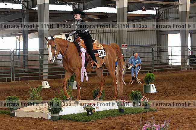 Proof 11yn_01355