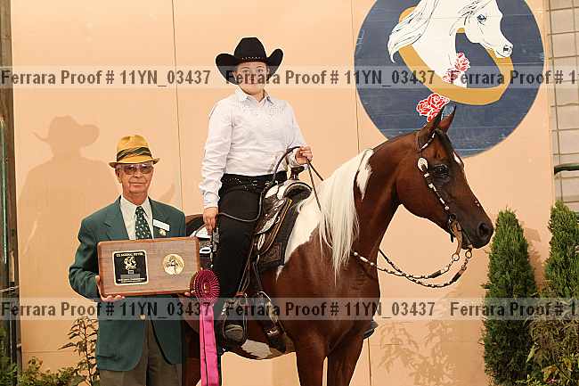 Proof 11yn_03437