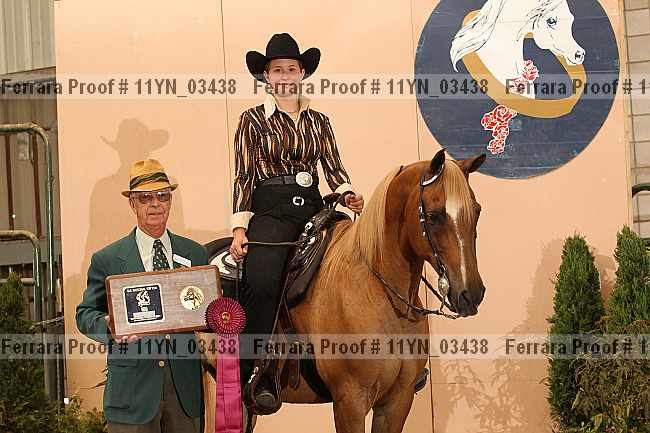 Proof 11yn_03438