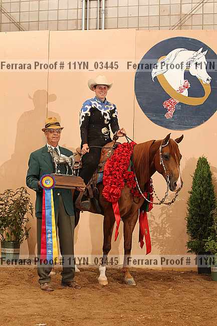 Proof 11yn_03445