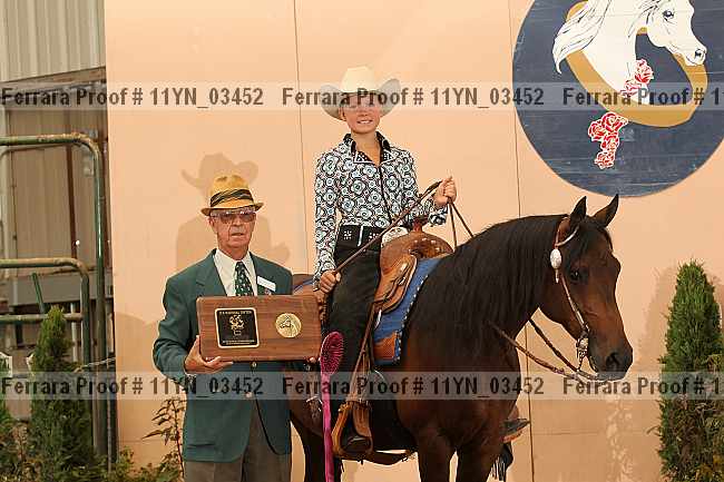 Proof 11yn_03452