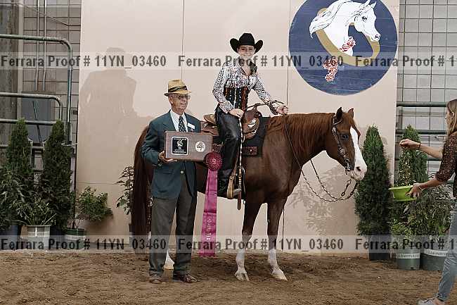 Proof 11yn_03460