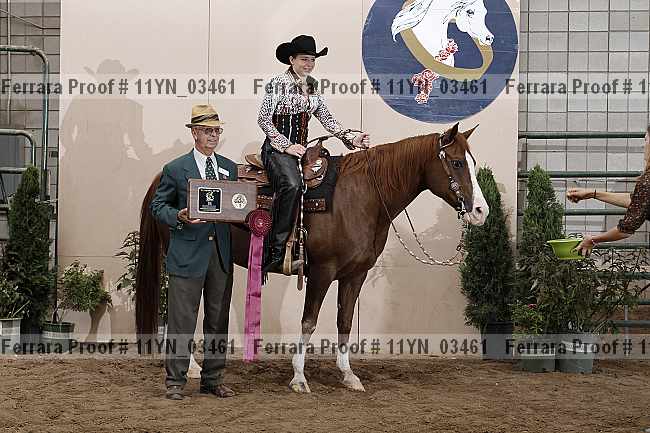 Proof 11yn_03461