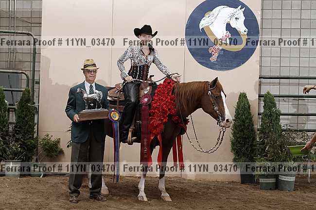 Proof 11yn_03470