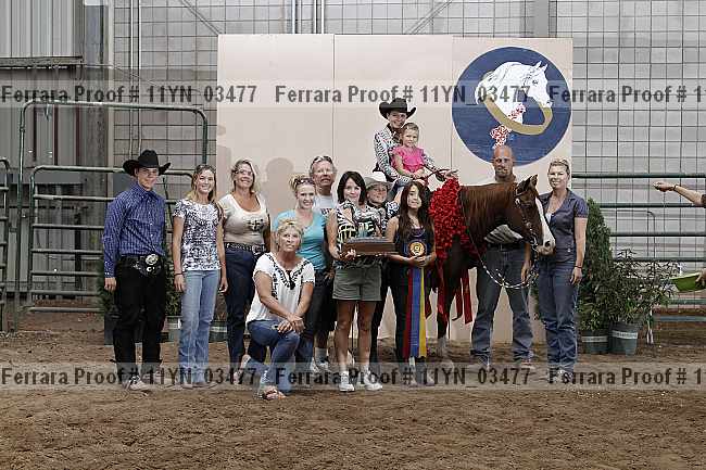 Proof 11yn_03477