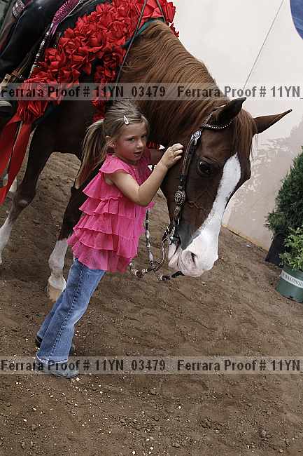 Proof 11yn_03479